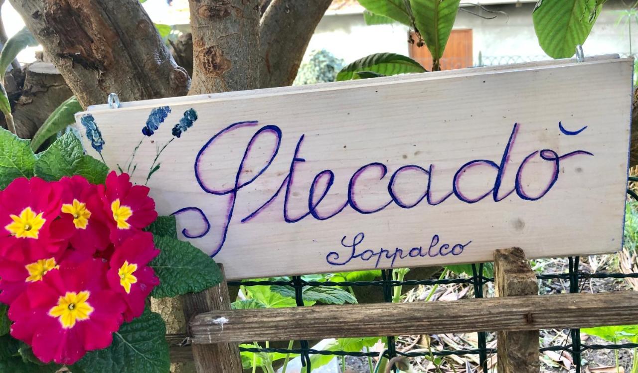 شقة Stecado - Il Soppalco دولشياكا المظهر الخارجي الصورة